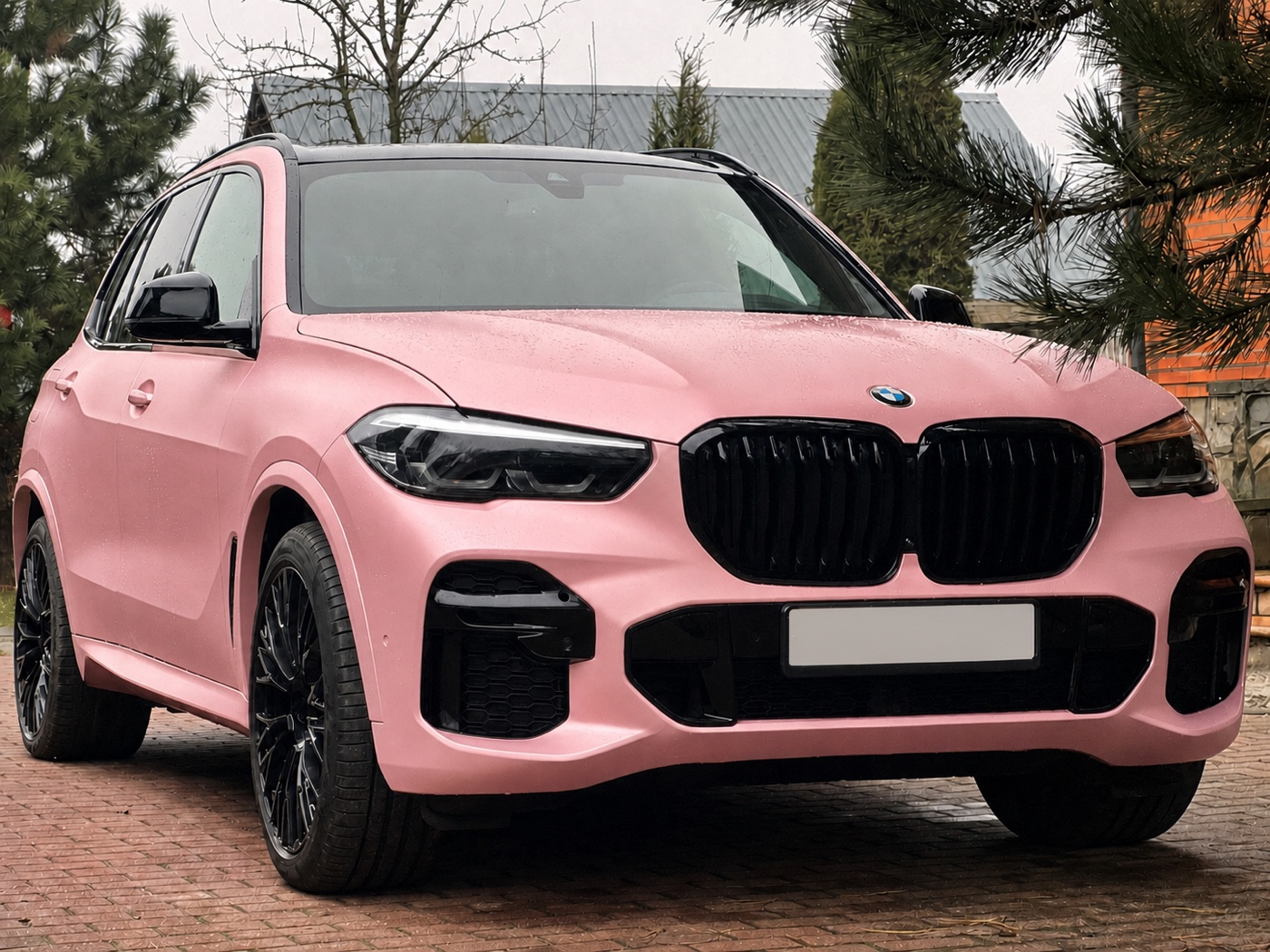 BMW в плёнке TPU Elegant Powder Fire PPF